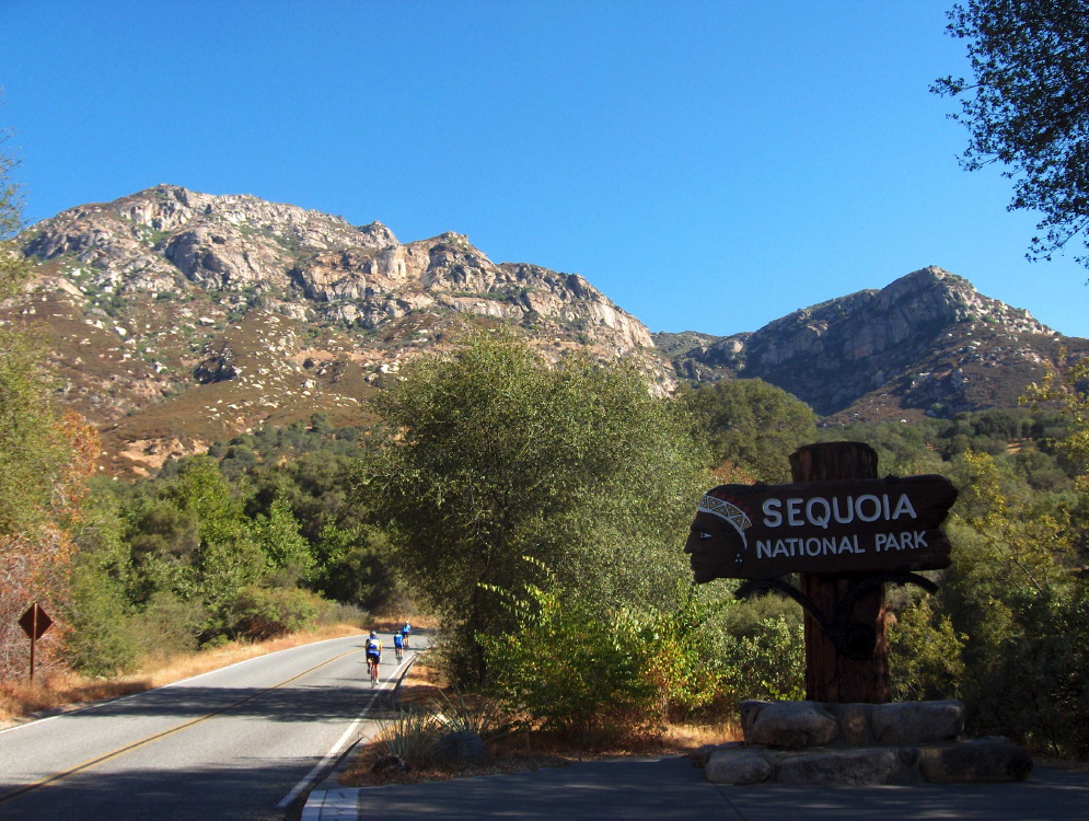 entering sequoia nat#158a9.jpg