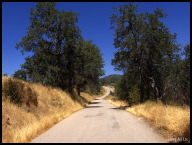 (Hot and) Dry Creek Rd where I flatted.jpg